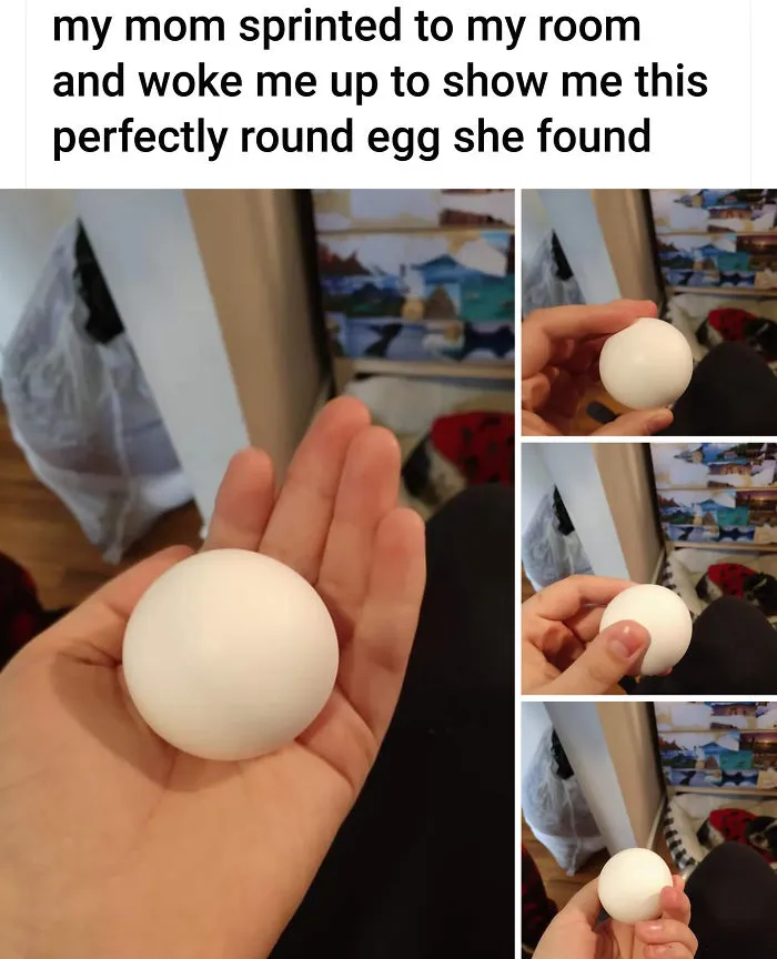 Perfectly Round Egg