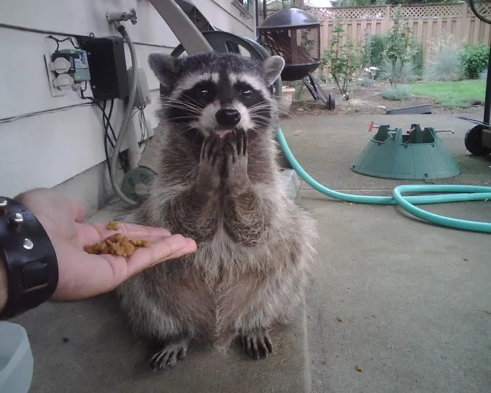 For Me?