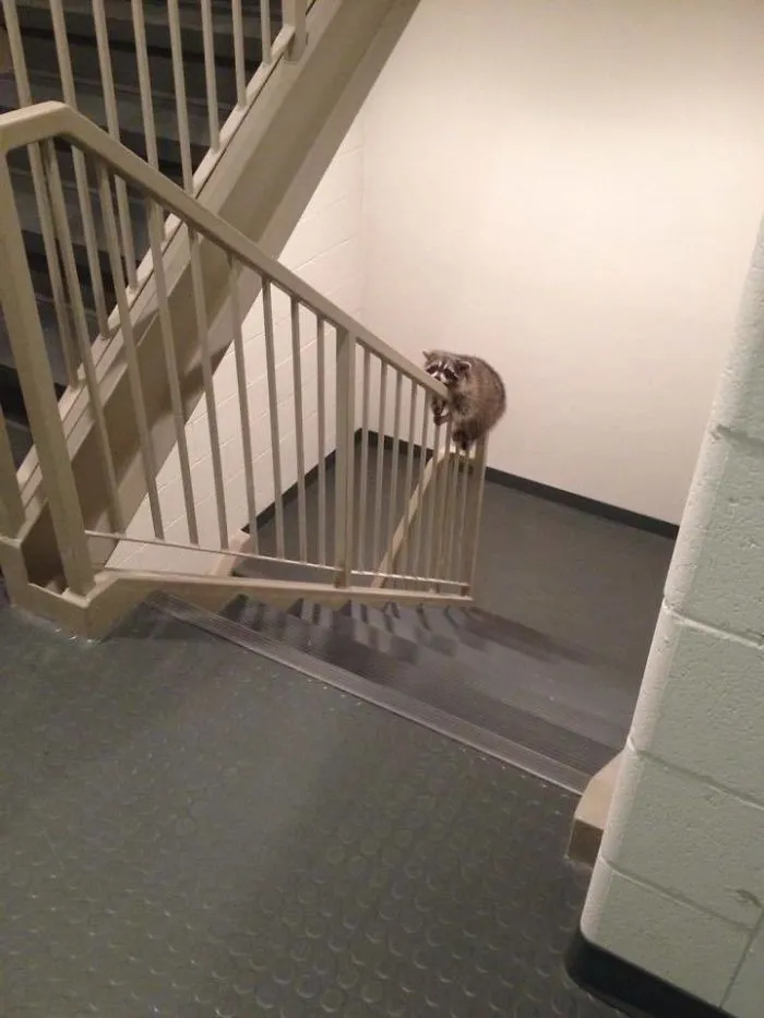 The Situation At My Friends Apartment Right Now