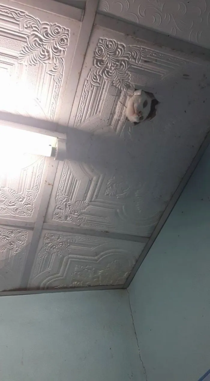 That Spooked The Crap Out Of Me