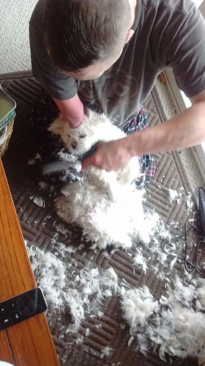 My Aunt Got Her Dog Groomed. The Groomer Only Has Half Of His Right Arm. It Looks Like He's Elbow Deep Into The Dog, And It Freaked Me Out When I First Saw The Picture