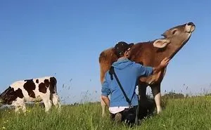 40 Lesser-Known Facts About Animals That Made People Say 'Aww'