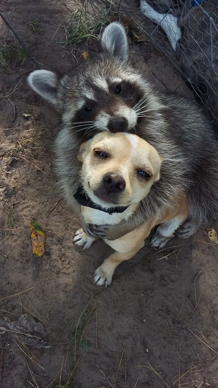 Friendship Goals