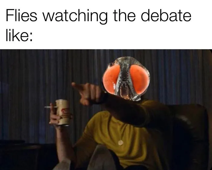 47 Memes That Wouldn't Exist If The Fly Didn't Land On Mike Pence's Head Last Night