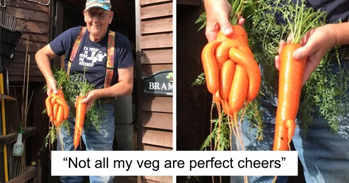 71-Year-Old Veggie King Posts Gardening Pics, Becomes An Internet Sensation (30 Pics)