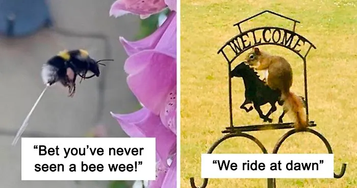 This Facebook Group Is All About Crappy Wildlife Photos And They Are So Bad They're Good (50 Pics)