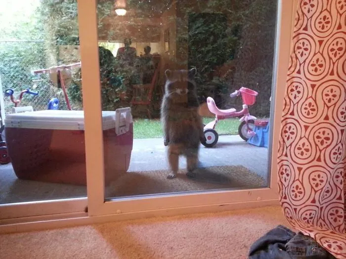 You Forgot To Pick Me Up From Practice