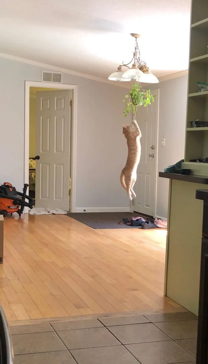 This Is Why We Can’t Have Nice Things