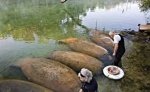 45 'Forbidden Food' Examples You Shouldn't Ever Eat (New Pics)