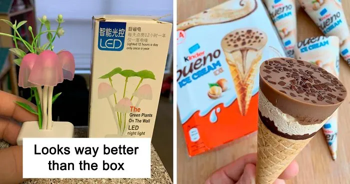 50 Genuinely Great ‘Expectation Vs. Reality’ Posts Where The Results Exceeded The Expectations