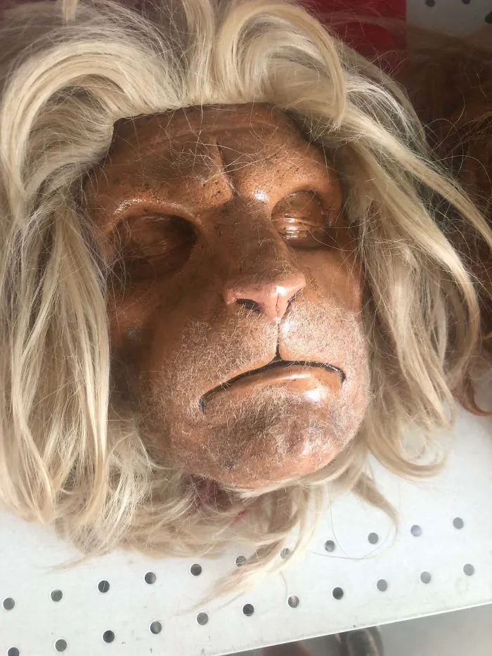 Strange Mask? Found It But I’m Not Sure What It Is