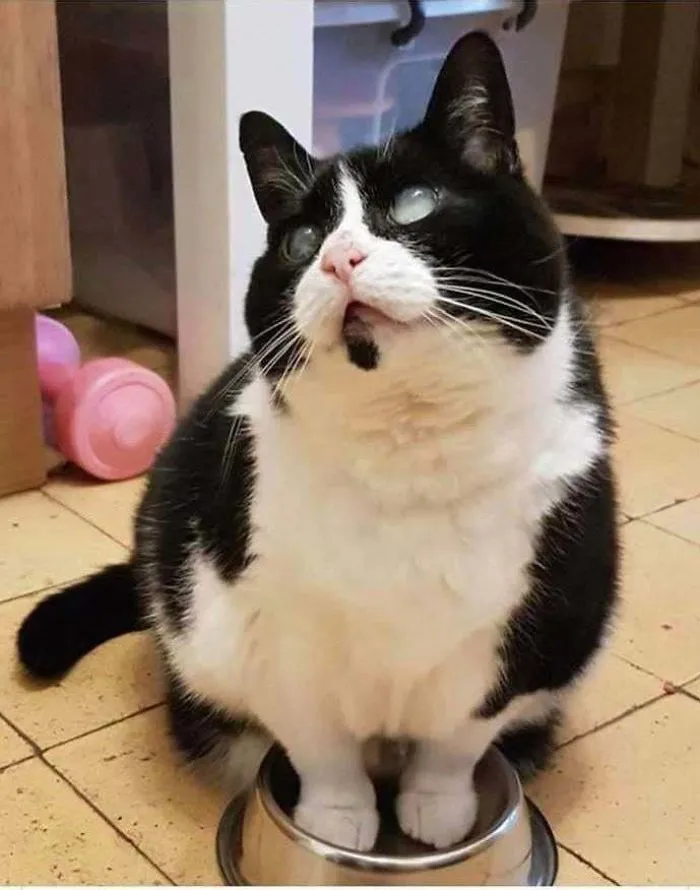 Meggie Knows How To Communicate Despite Being Deaf And Blind