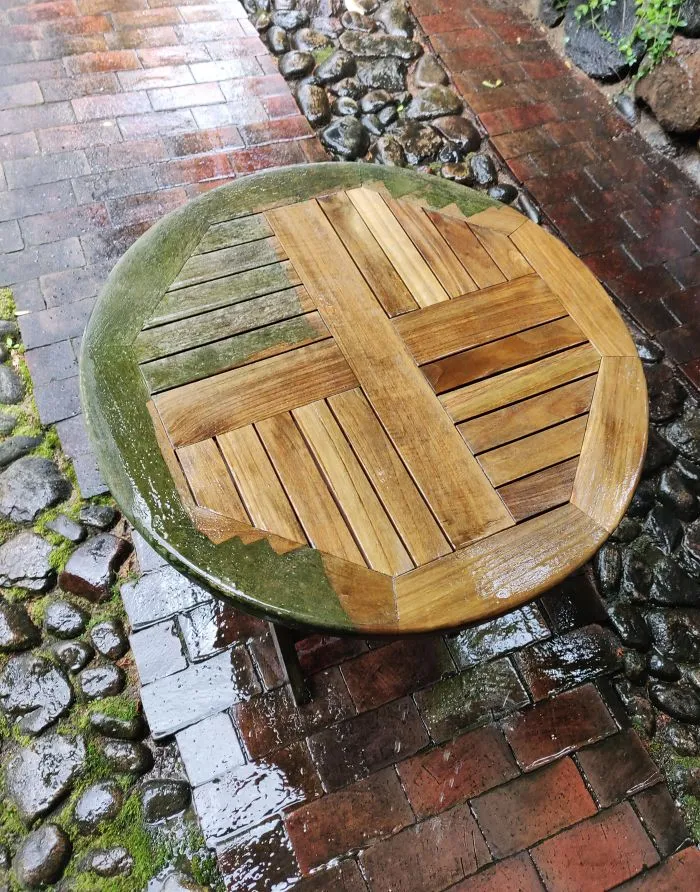 Got This Table For Free Today