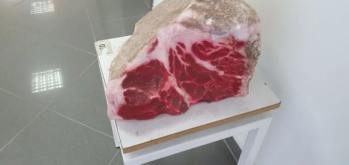 This Rock Looks Like A Steak