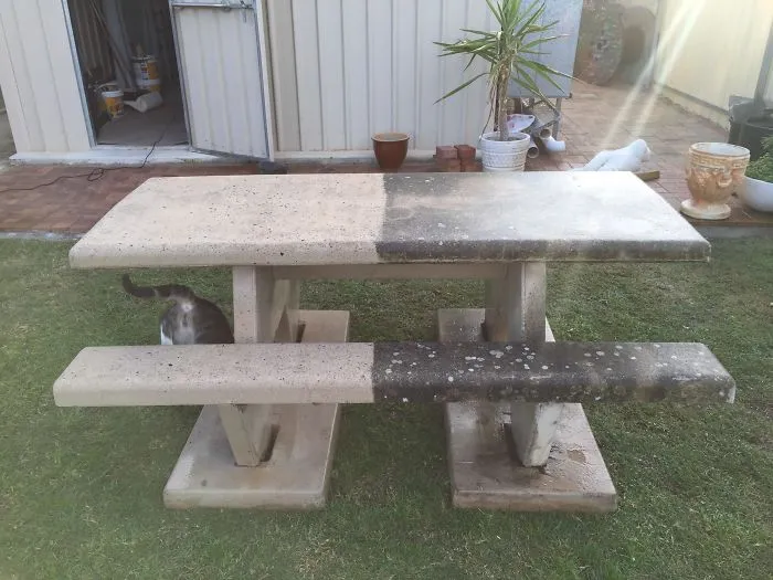 Recogí esta mesa de cemento gratis y tuve que limpiarla. Disculpad por el gato exhibicionista