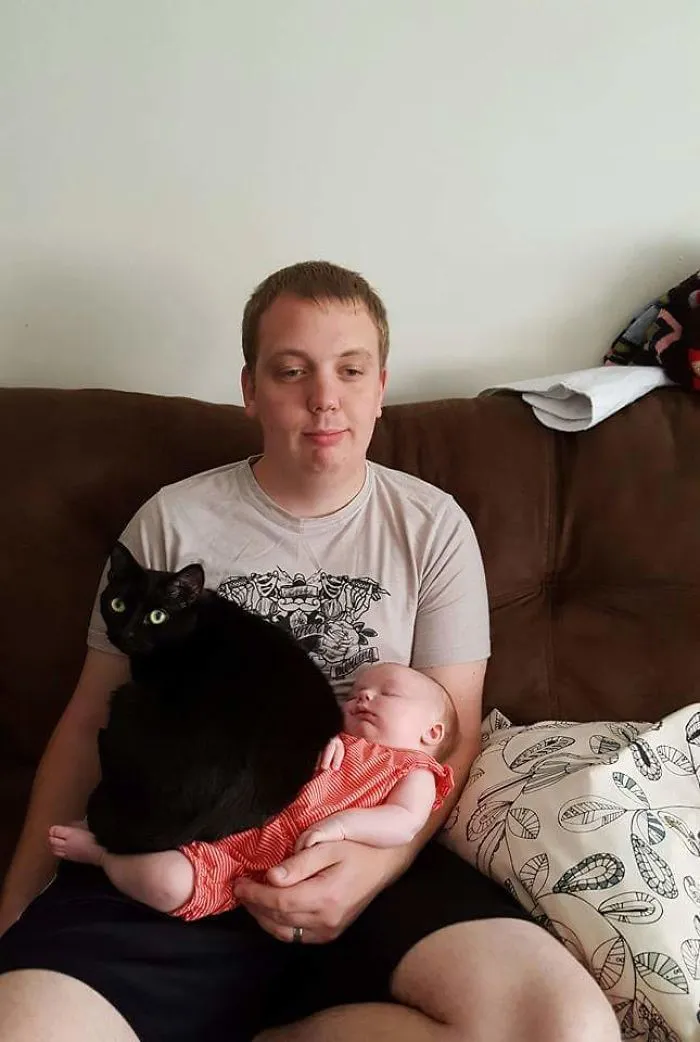This Is Our Cat Charlotte. She Is Not Familiar With Boundaries, And Has Exactly Zero Shame