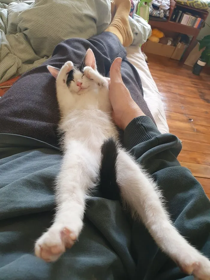 He Just Fell Asleep Like This
