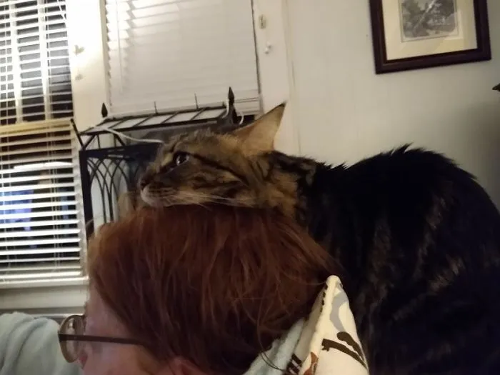 Just Watchin' TV