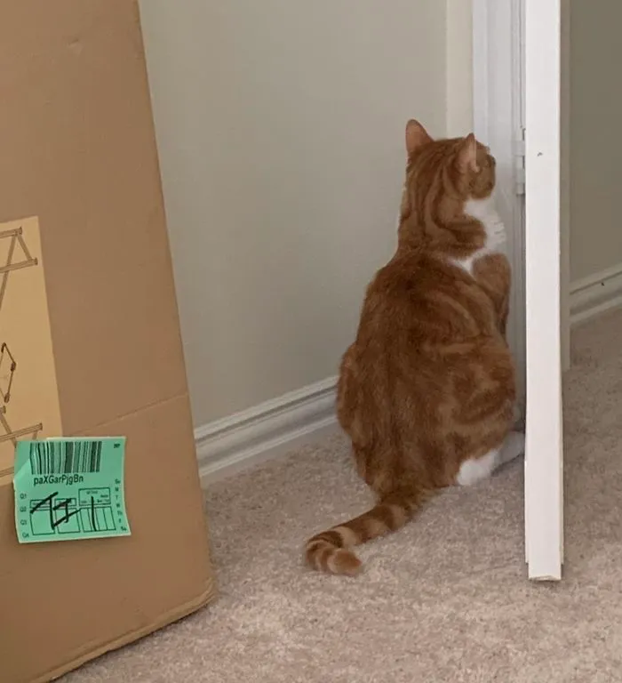 He’s Been Sitting Like This For 15 Minutes. It’s Starting To Scare Me