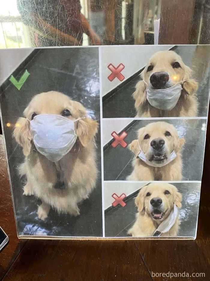 The Best Mask Guide
