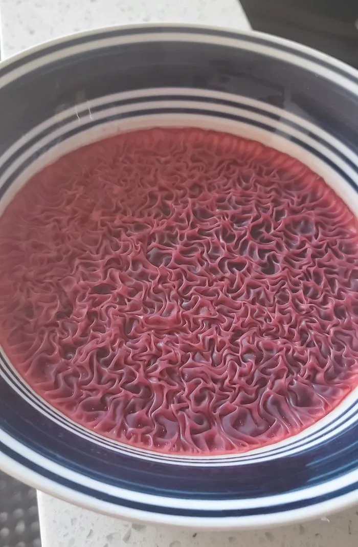 What Happens If I Accidentally Leave A Bowl Of Beet Juice On The Counter