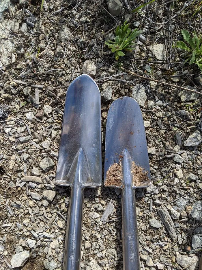 Cuando usas la misma pala para plantar 90000 árboles