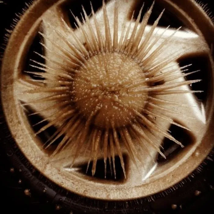 What Happens If Water Freezes On A Spinning Wheel