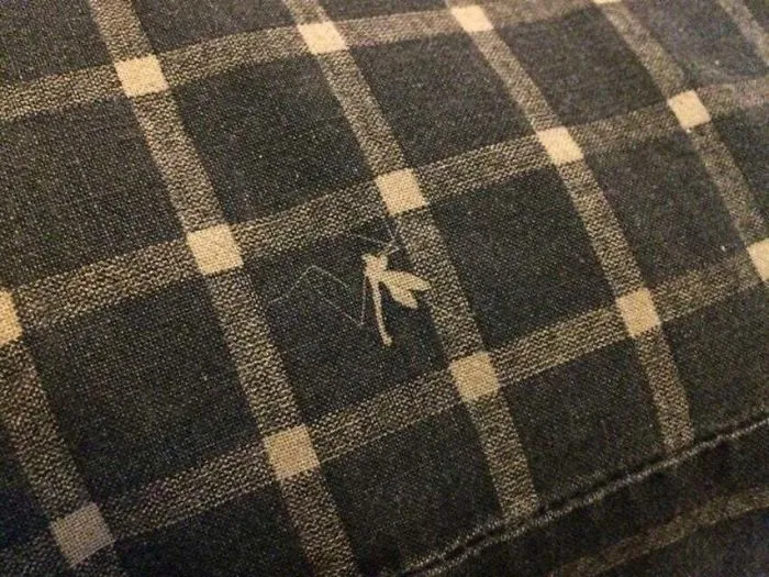 Mosquito atrapado entre la tela y la impresora