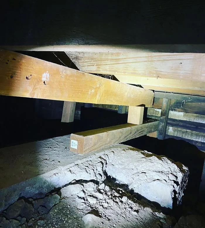 30 Times Structural Inspectors Found Surprising Things