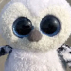 Freaky Owl