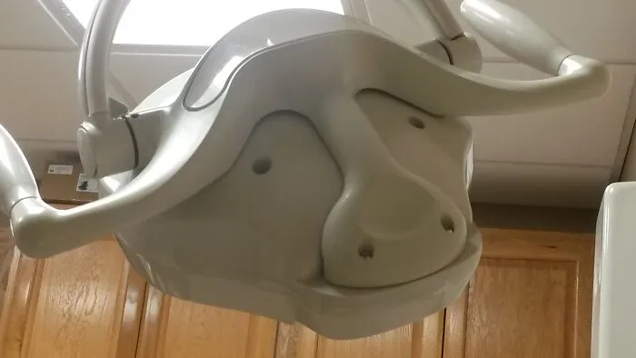 Happy Water Buffalo I Found