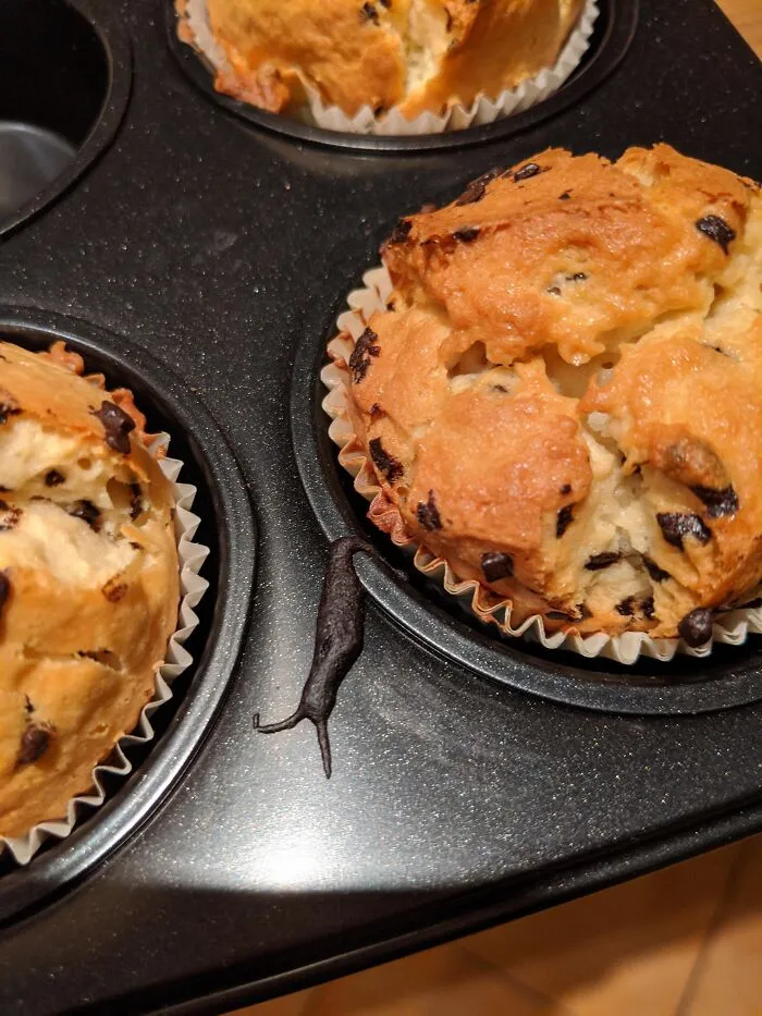 Recently Made Cupcakes And This Piece Of Snail-Looking Burnt Dough Scared The Hell Out Of Me