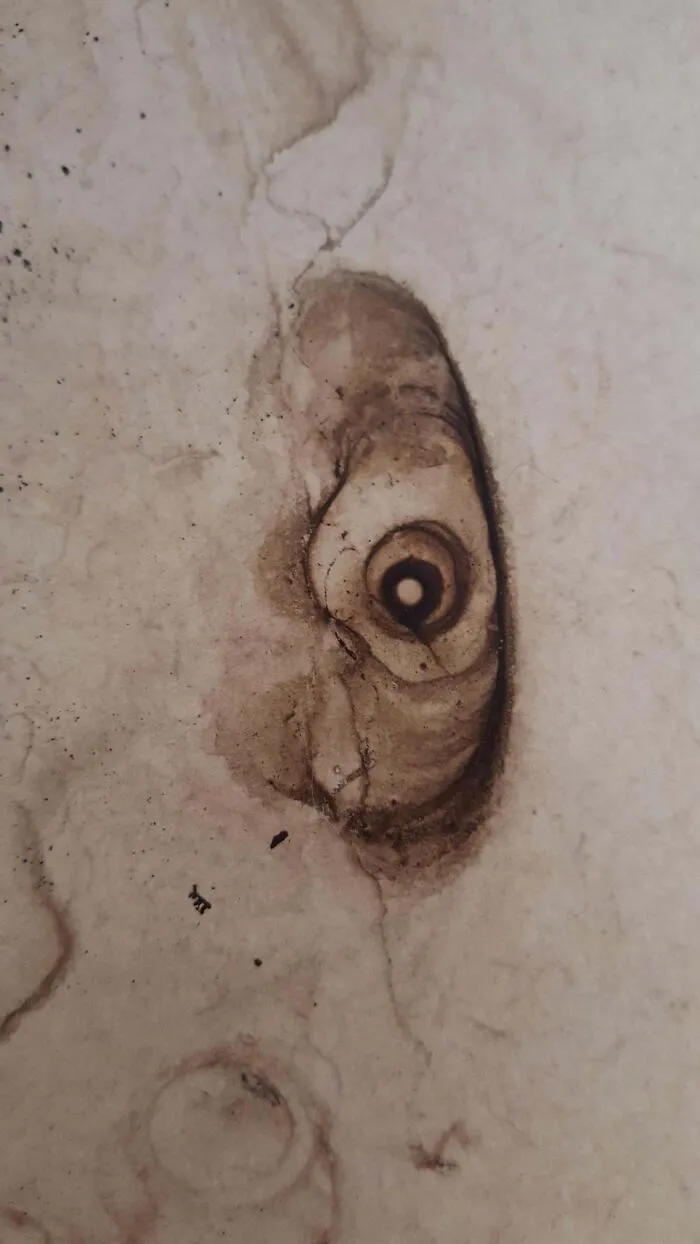Coffee Stain Looks Like It's Staring At You