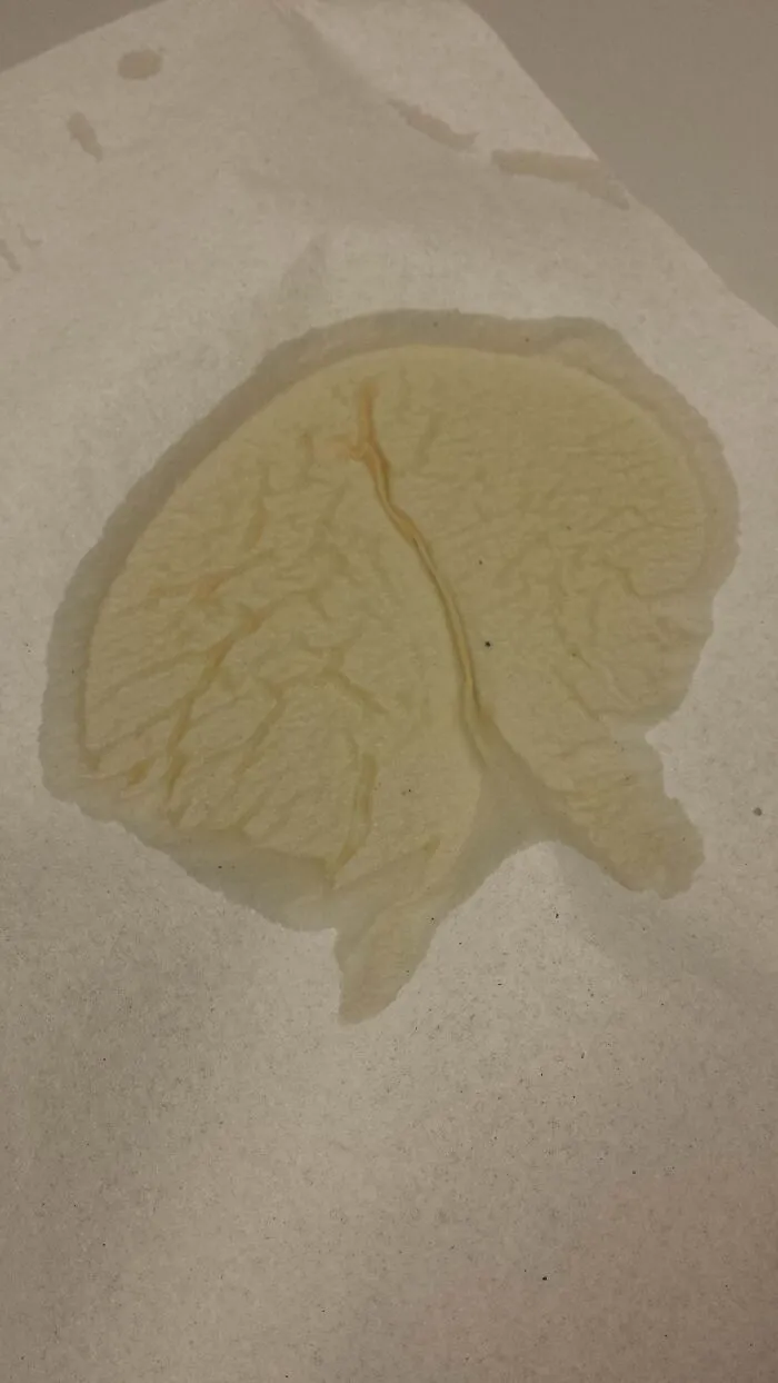 My Coffee Spill Clean-Up Looks Like A Brain