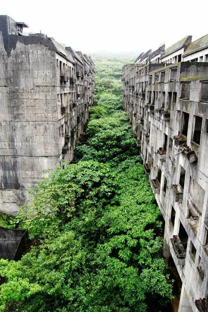 Apartment Complex In Keelung, Taiwan Slowly Overtaken By Trees