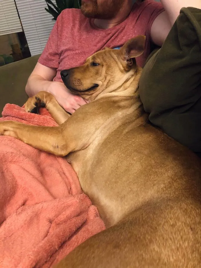 First Day Of Being Adopted...i Think She’s Happy About It!!!