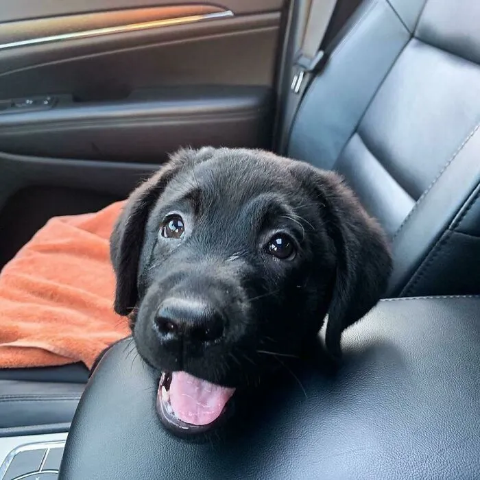This Is Ernie!