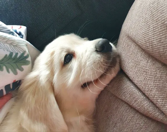 Lia en su primer día, mirando a mi marido