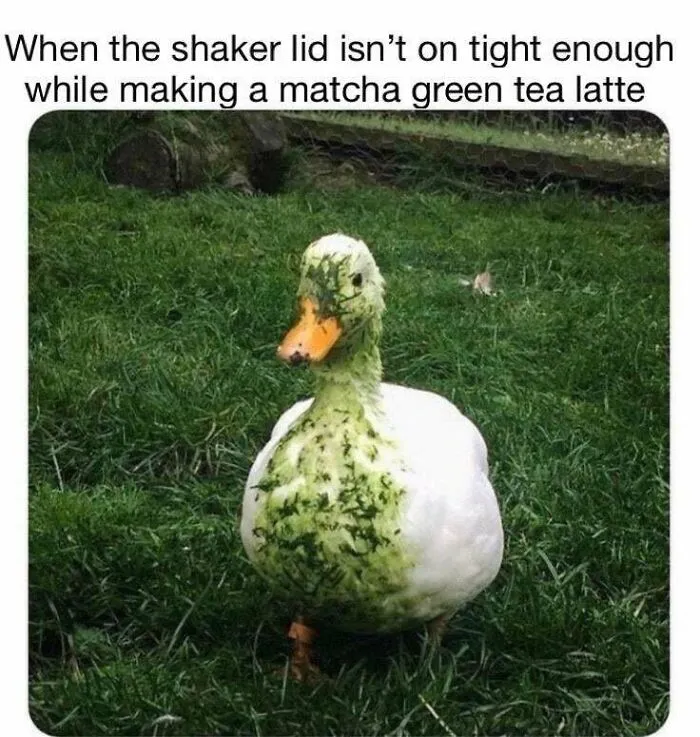 It Can Happen To The Best Of Us