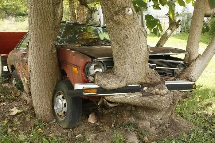Becoming One With Nature