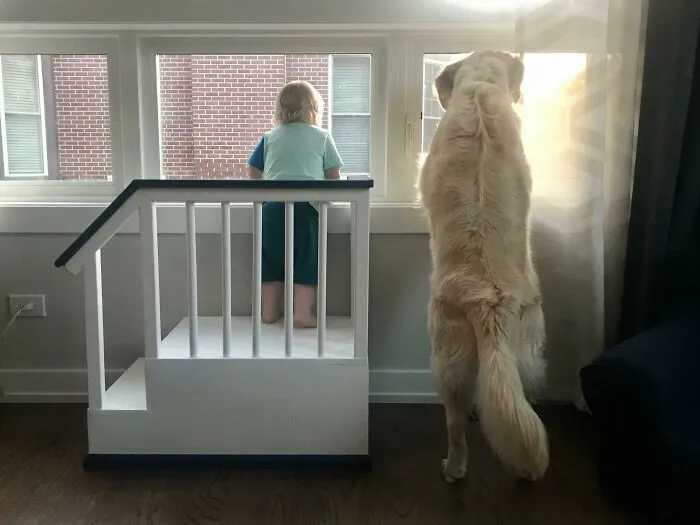 I Just Finished This “Fort” For My Son So He Could Look At Trucks Out The Window. Now He Can Hang Out With His Best Friend