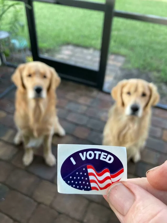Due To Some Mistakes I Made In My Early 20’s I Wasn’t Allowed To Vote. Today I’m Very Proud To Say I Voted. I’m 42 And I Just Voted For The First Time