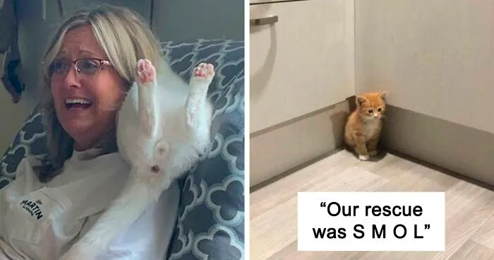 50 Most Wholesome Rescue Pet Photos Of October