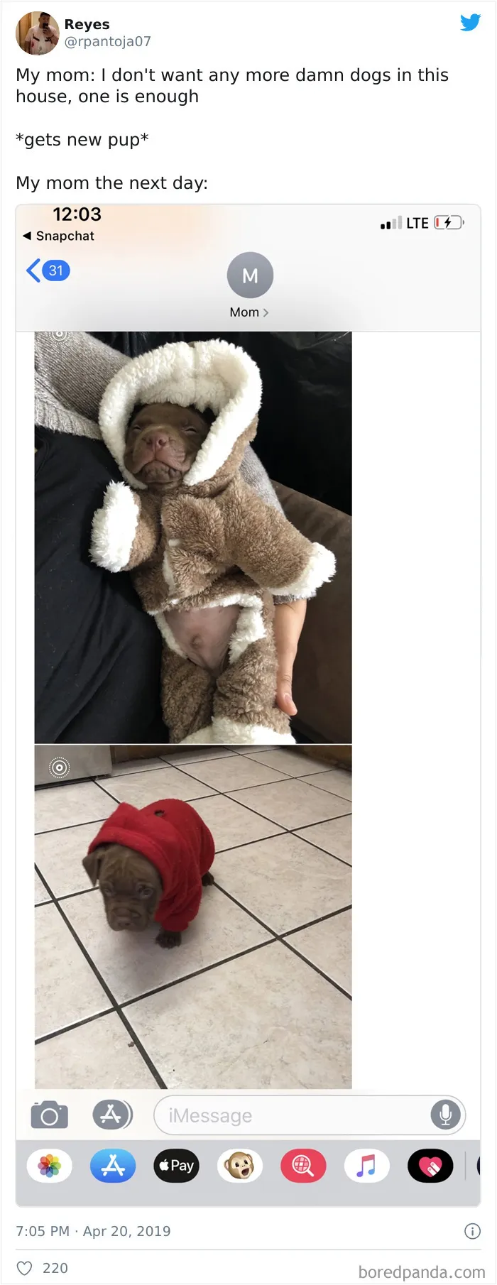 30 Latina Moms Who Totally Didn't Want A Dog