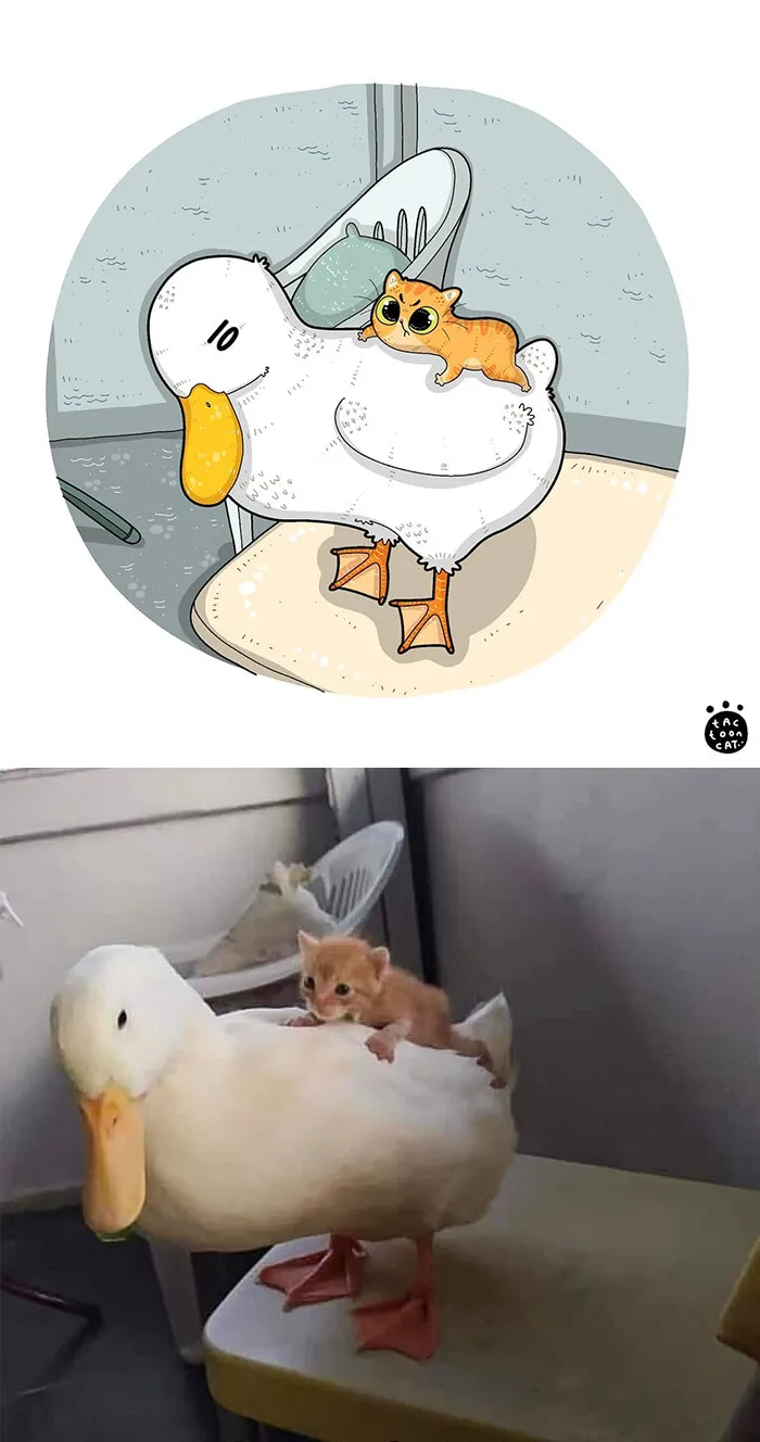 30 Of The Funniest Internet-Famous Cat Pics Get Illustrated By Tactooncat