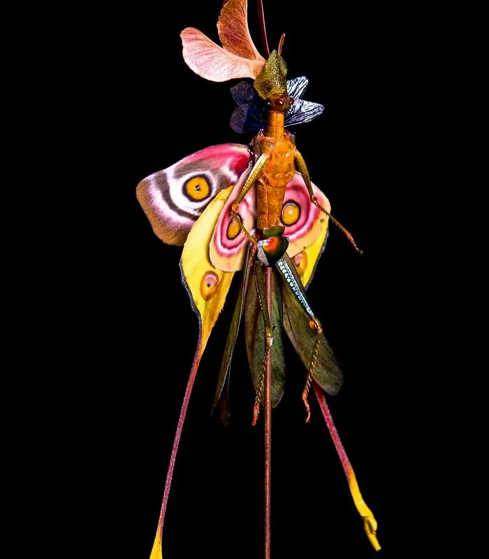 Here Are 18 Surreal Bug Fairies Made From Dead Insects Made By This Amsterdam-Based Artist