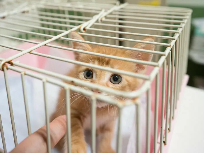 52 Times People Witnessed Their New Co-Worker Getting Fired So Fast, They Shared It Online