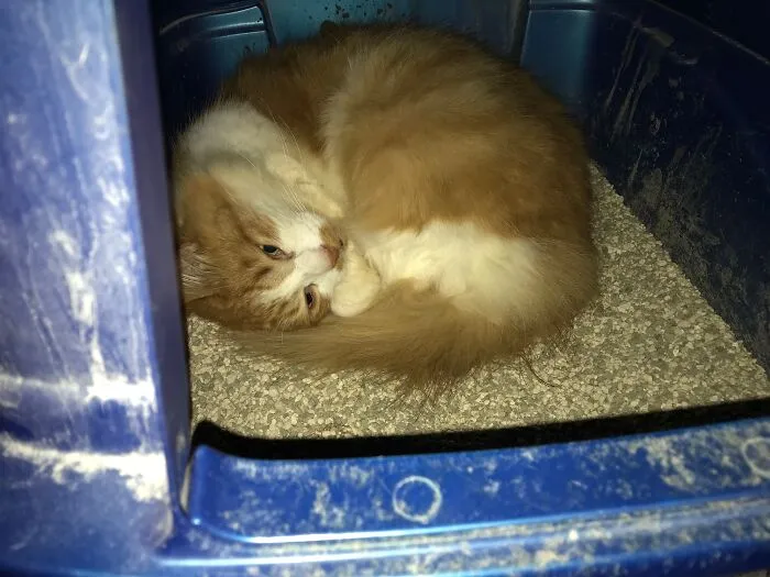 Do Not Disturb