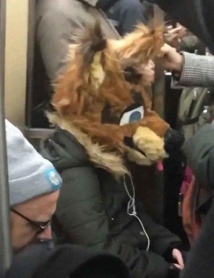 Esta página de Instagram publica las mascarillas anticoronavirus más ridículas vistas en el metro (37 fotos)