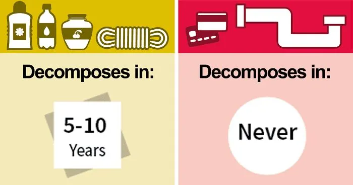 This Useful Infographic About the 7 Types Of Plastic Will Help You Be More Eco-Conscious